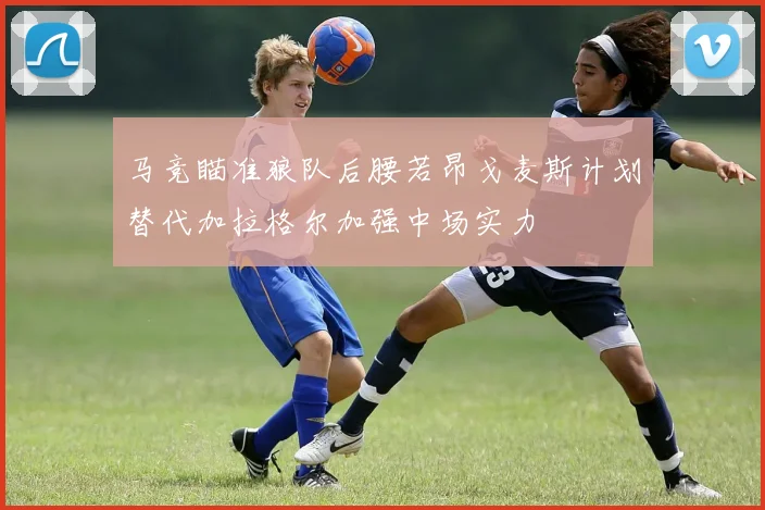 马竞瞄准狼队后腰若昂戈麦斯计划替代加拉格尔加强中场实力