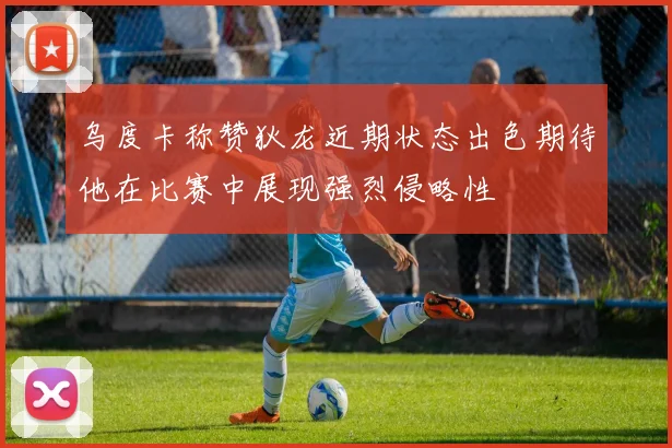 乌度卡称赞狄龙近期状态出色期待他在比赛中展现强烈侵略性